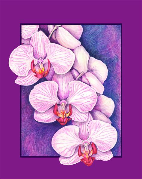 Phalaenopsis nagic art